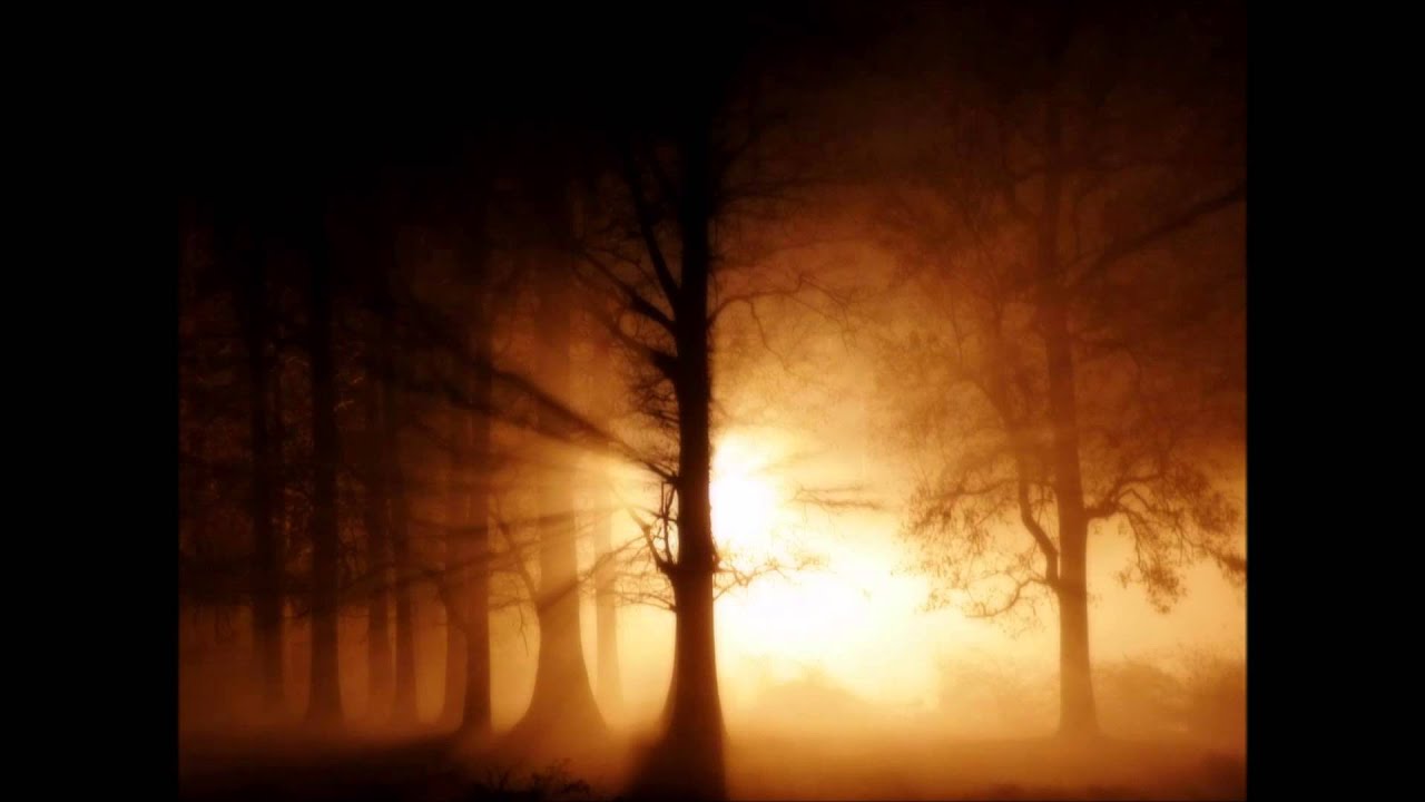 Roberto Bardini - Hate Me (Muteoscillator Fairy Tall remix)