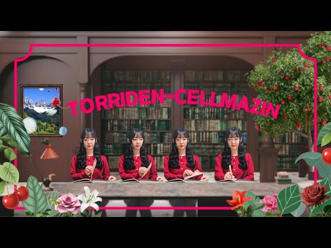 [토리든]화장품 광고 포트폴리오