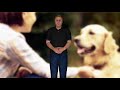 Bark Control - How to Stop a Dog Barking Bark Control - How to Stop a Dog Barking