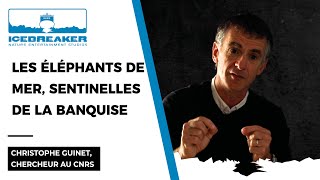 Breaking Ice / Les éléphants de mer par Christophe Guinet