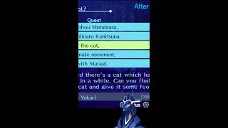 NG+ Fem route