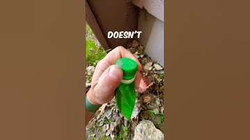 The FIRST time I’ve ever found a geocache hidden like this before!