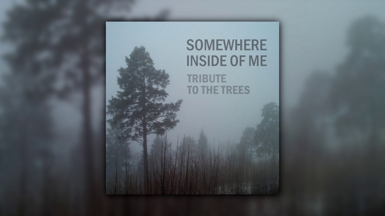 SIOM - Tribute to the Trees [live] (2018) (Full Album)