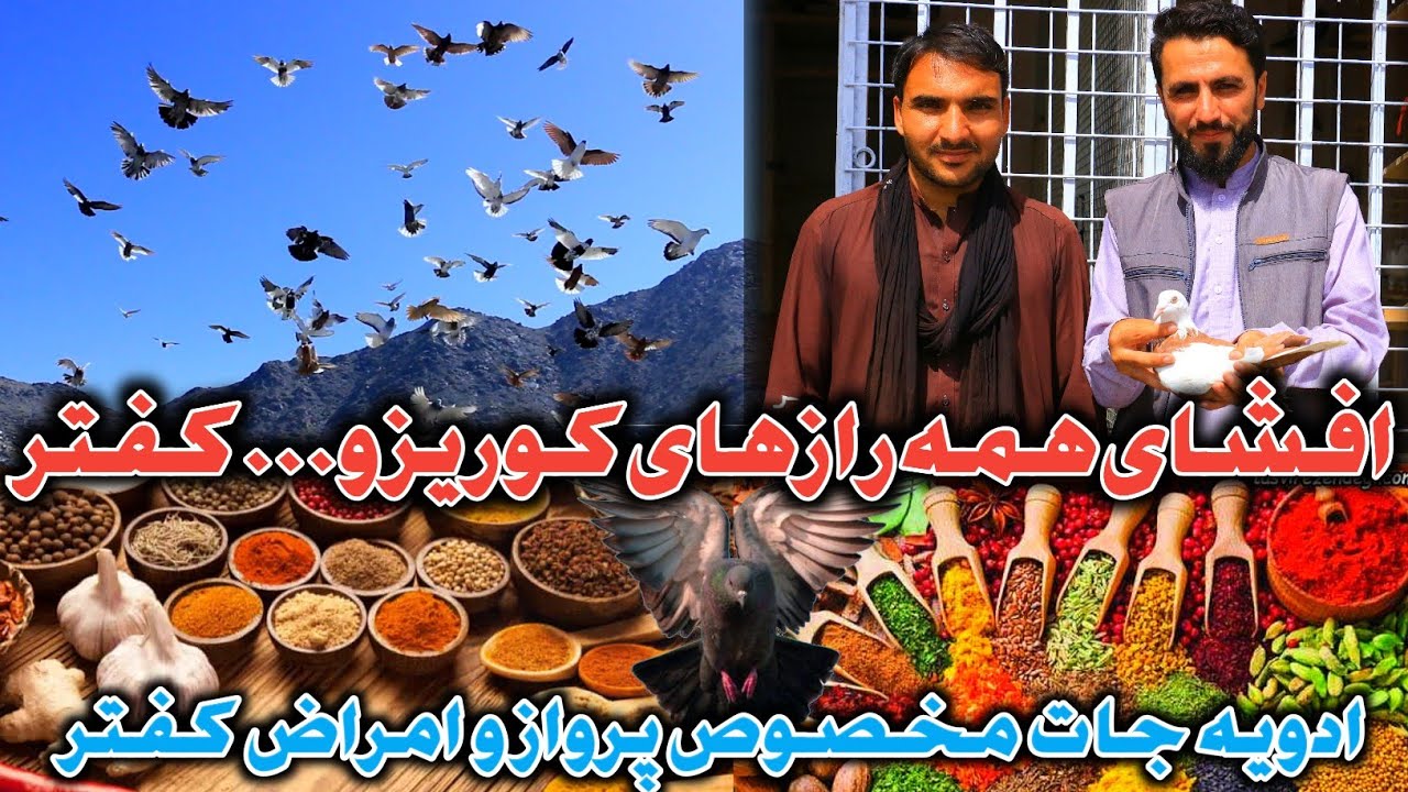 Подготовка, семена и способ шлифовки голубиного гороха после варки | Простое и лёгкое лечение бол...