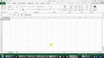 #56 Adding a date and time stamp to Excel