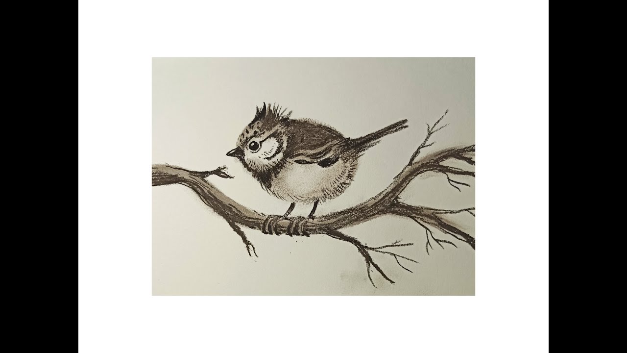 Птица на сухом дереве. Серая птица рисунок. Птица пастелью сухой дети рисунки. Взъерошенный кот рисунок.