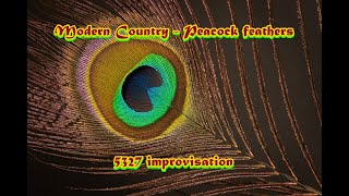 Modern Country -  Peacock feathers -  5327 improvisation