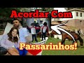 Gusttavo lima e andressa suita depois da fstona na fazenda acordam com o som dos pssaros