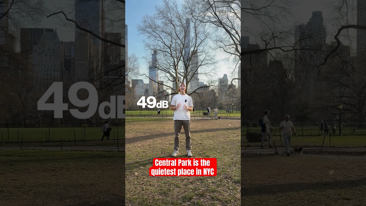 Why Central Park Feels Quieter Than the City Around It
