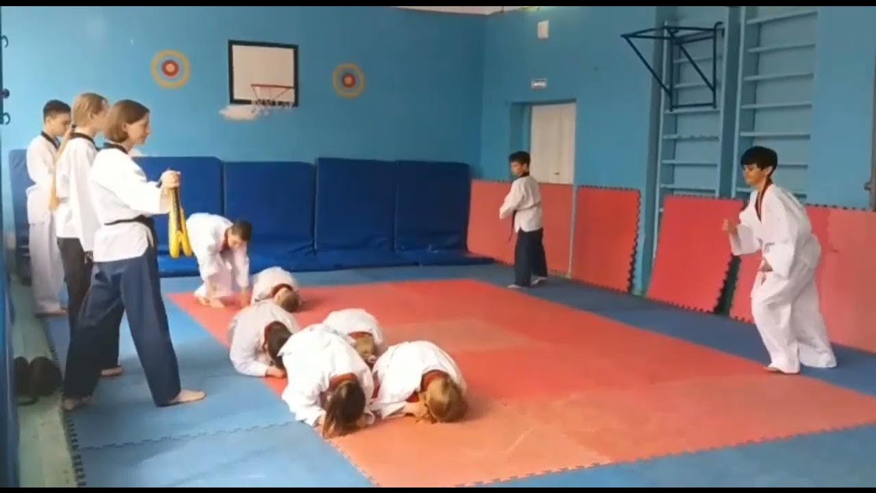 Хабаровские тхэквондисты открыли "домашний" сезон соревнований - Новости - Событ