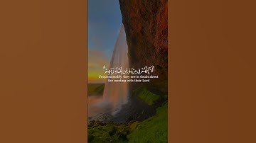 سورة فصلت #اسلام_صبحي #قران_كريم
