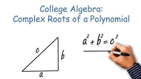 College Algebra: Complex Roots of a Polynomial