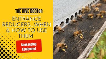 Don’t Overlook the Super Hero of Beekeeping Equipment// Entrance reducers