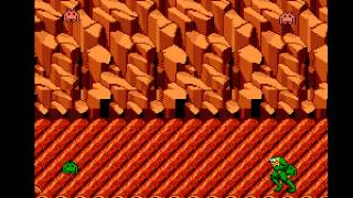 Battletoads - Battletoads (NES / Nintendo) High Score Run - User video
