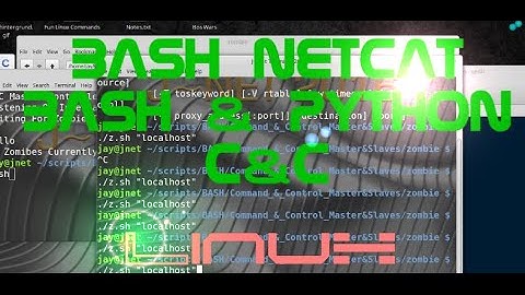 Command & Control Netcat Bash Bat & Python