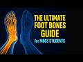 Skeleton of the Foot Anatomy | Tarsals, Metatarsals & Phalanges Explained for MBBS