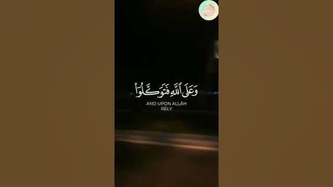 ادخلوا عليهم الباب فإذا دخلتموه فإنكم غالبون، بصوت القارئ عز الدين العوامي