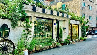 видео: Самая обычная Сеульская прогулка! Прогулка по жилым районам Сеула картинка: Самая обычная Сеульская прогулка! Прогулка по жилым районам Сеула