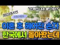 아들의 이혼 후 며느리와 한국인 새아빠 따라 한국갔던 영국손자, 2년만에 돌아와 달라진 행동에 충격받은 이유
