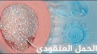 الحمل العنقودي وخطورته