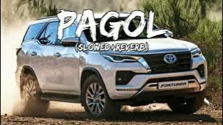 Pagol - Deep Jandu | Slowed   Reverb | AK - Bass Boosted