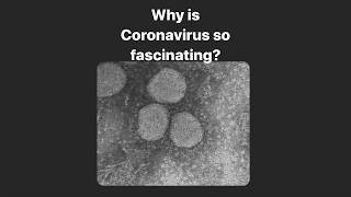 Why is CORONAVIRUS so fascinating?