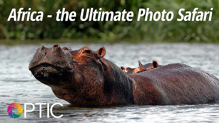 Optic 2016: Africa - the Ultimate Photo Safari wit...