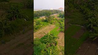 view fr top Sky bridge SMB