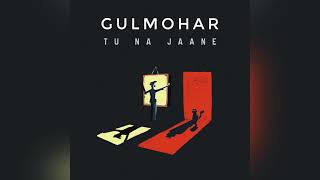 Video thumbnail of "Tu na Jaane | Ramil Ganjoo | Gulmohar - EP
#indiemusic #newrelease #indianindie"