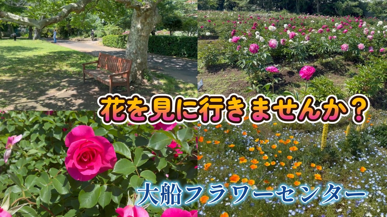 花を見に行きませんか？　日比谷花壇 大船フラワーセンター