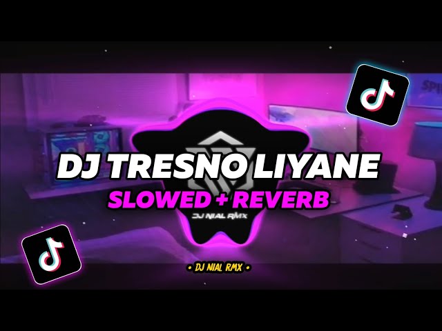 DJ Tresno Liyane Slowed + Reverb Remix Tiktok Terbaru  2023 class=