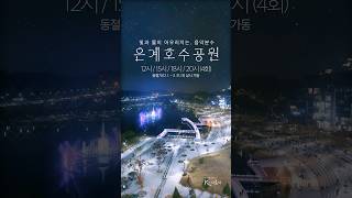 빛과 물의 아름다운 콘서트🎶 은계호수공원 음악분수 I 임영웅 &#39;사랑은 늘 도망가&#39; I #시흥시 #임영웅 #힐링 #데이트 #산책