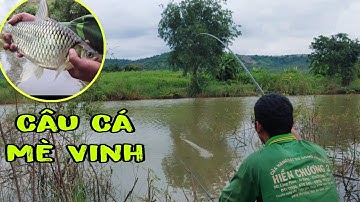 Câu Cá Mè Vinh Rô Phi Tự Nhiên Giật Lìa Lịa tập 14