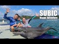 Ocean Adventure with Dolphin Close Encounter - Subic