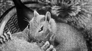 Александр Алексеев Народные Песни Alexandre Alexeïeff Chants Populaires Popular Songs 1944