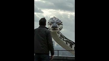 An enormous snake hovering over a skyscraper rooftop attempts to spit venom at a man #shorts #reels