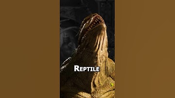 A Quick Tip With Reptile In Mortal Kombat 1! #shorts #gaming #mortalkombat