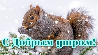 ❄❄❄ДОБРОЕ УТРО! ХОРОШЕГО ДНЯ!❄❄❄