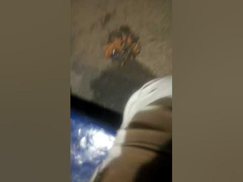 рыганина - YouTube
