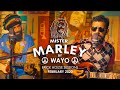 Bob Marley (Tribute) - WAYO Brick House Sessions (February 2020)