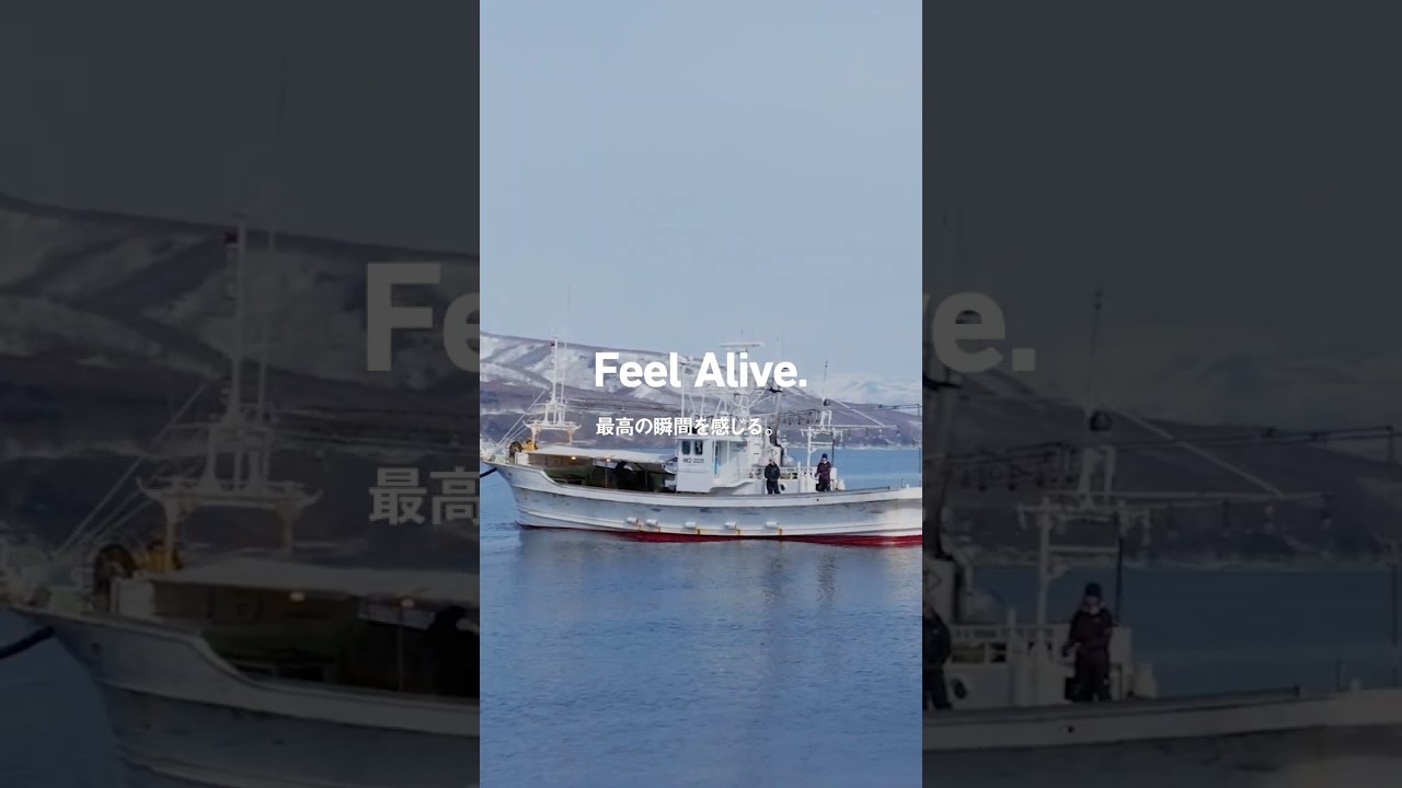 The Four Seasons In Japan -四季と釣り- 冬篇 #shorts #daiwa #ダイワ