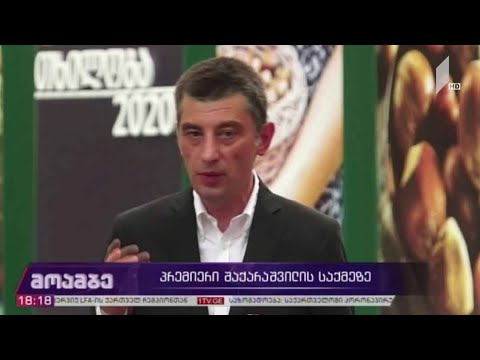 გიორგი შაქარაშვილის საქმე - პრემიერ-მინისტრის კომენტარი