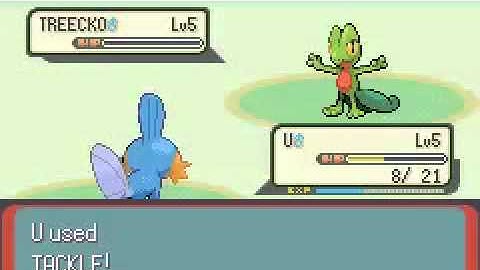 Pokemon Emerald 2:30 Speed Run Segment 3