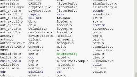 VoIP Video 2006: Rekaman instalasi asterisk