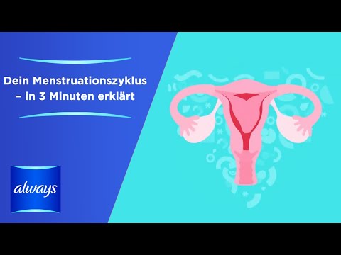Was ist Periode und Menstruationszyklus?