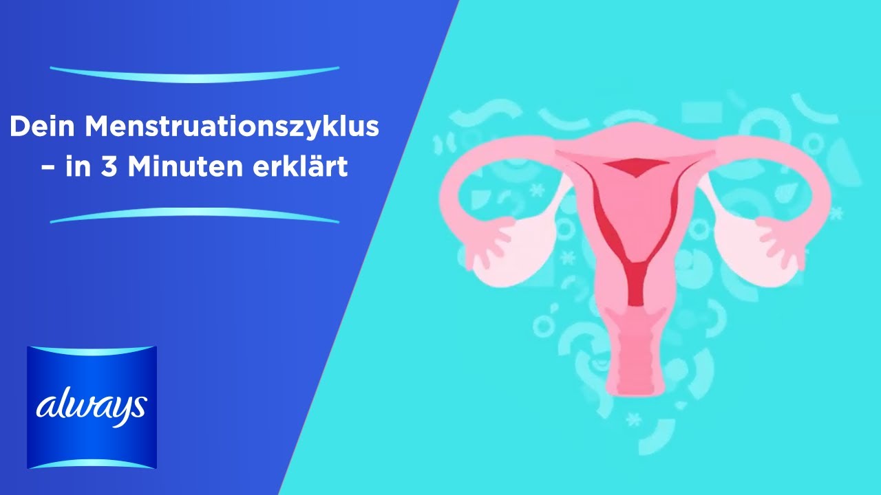 Wie Lange Dauert Es Von Weißfluss Bis Zur Periode Was ist Periode und Menstruationszyklus? - YouTube