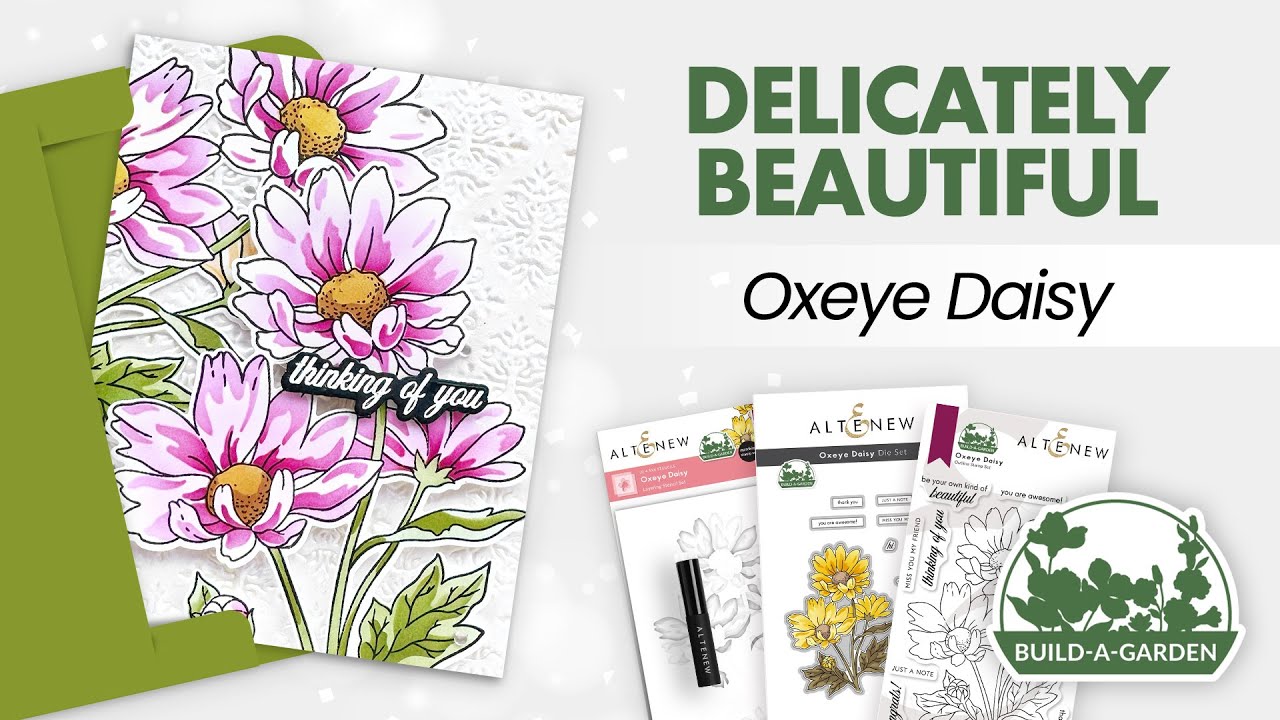 Build-A-Garden: Oxeye Daisy