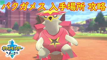 剣盾 バクガメス Mp3