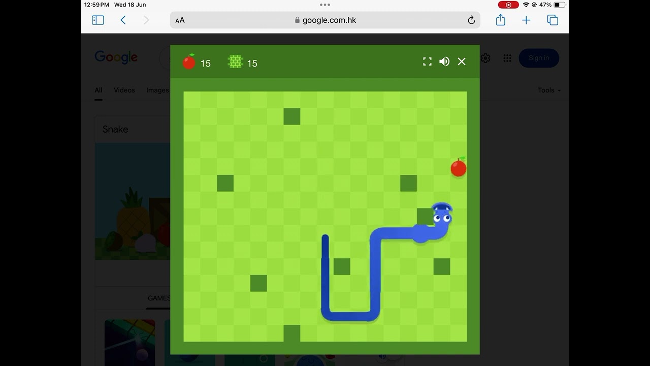 Snake-block-rabbit @javen-31s