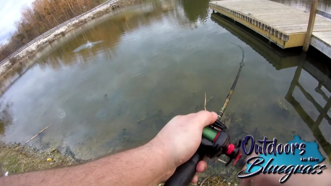 Short Fishing Creme Lures at Beaver Lake Kentucky YouTube